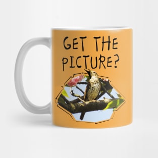 Get The Picture? Mug